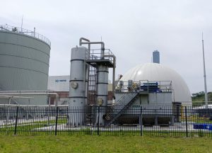 Biogas Desulfurization